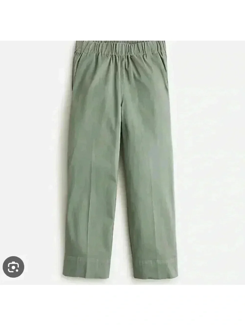 J. Crew Wide-Leg Pants in Sage